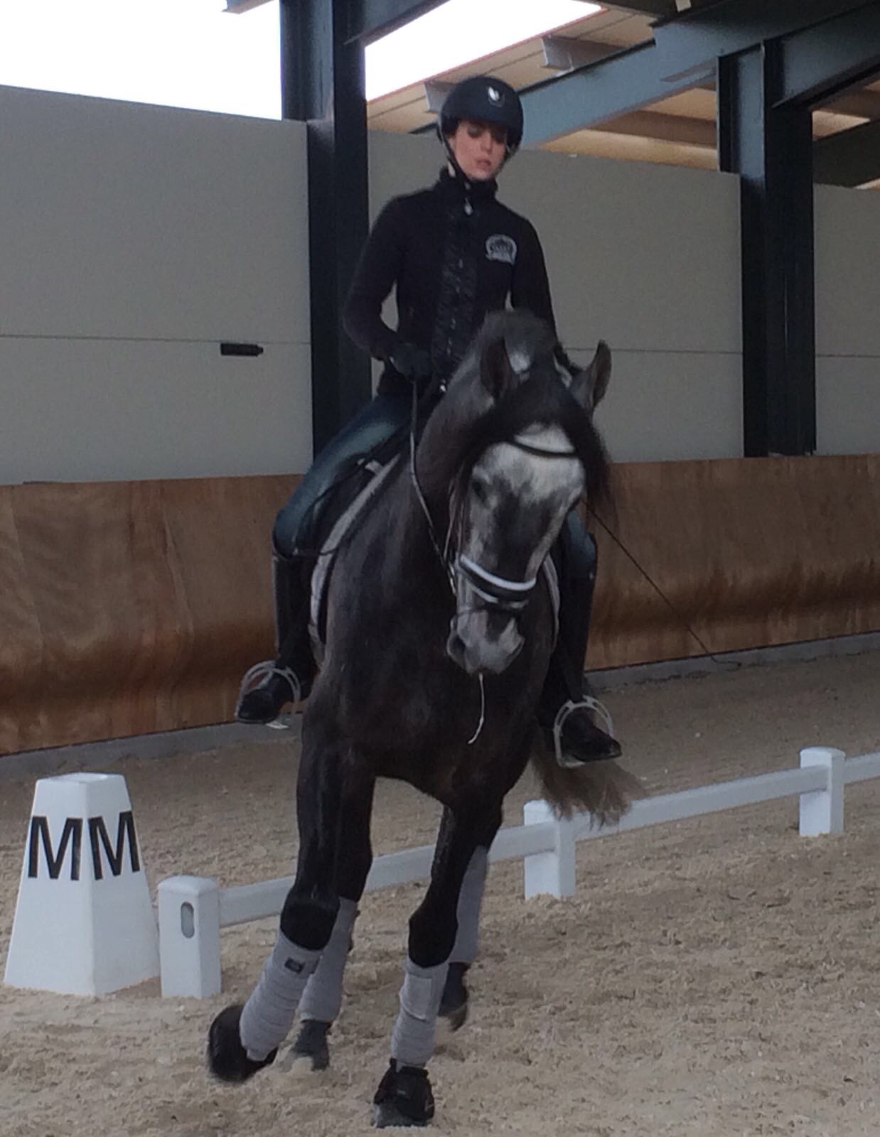 Estíbaliz Dorronsoro con su potro Esbelto X, invitada a las jornadas del Plan de Desarrollo Deportivo organizadas por ANCCE